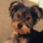Profile Picture of Joanne Cahill (@joandstv) on Instagram