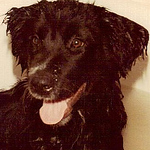 Profile Picture of John Warren (@Abnormally Weird) on Flickr