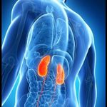 Profile Picture of # Hidro (@hidronefrose) on Instagram