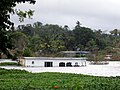 Profile Picture of Moneagueon Wikipedia