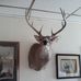 Profile Picture of Glenn Funk (@glenn.funk.75) on Facebook
