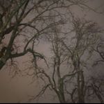 Profile Picture of joseph_sadek (@joseph_sadek) on Instagram