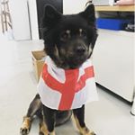 Profile Picture of Jonah Phillips (@jonahnarainphillips) on Instagram