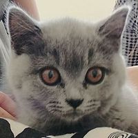 Profile Picture of Robert Kosowski (@robert-kosowski-2) on Quora