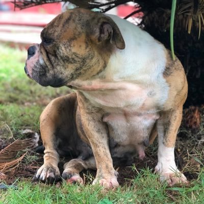 Profile Picture of Humberto Azarcoya (@titokid69) on Twitter