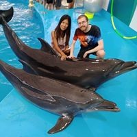 Profile Picture of Richard Mcnamee (@richard-mcnamee-3) on Quora