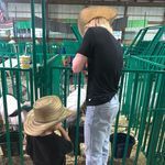 Profile Picture of Kyle Niestockel (@kyle_niestockel12) on Instagram