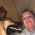 Profile Picture of Carole Maloney (@maloney_carole) on Instagram