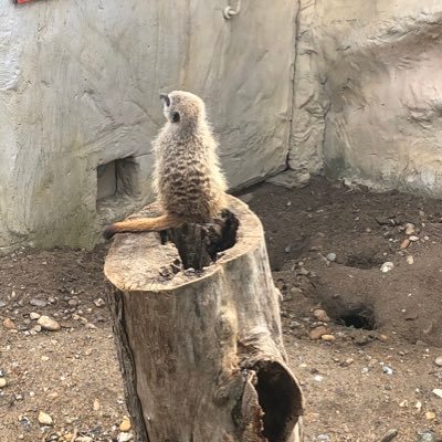 Profile Picture of Geoffrey Ellis (@geoffreyellis20) on Twitter