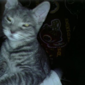 Profile Picture of Bradley Lathan (@370195051) on Myspace