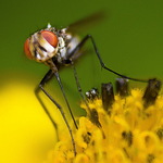 Wilmar David Parra - Flickr Profile Picture of Wilmar David Parra (@wilmar parra) on Flickr