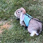 Profile Picture of RaeAnn Smith (@RaeAnn.S) on Youtube