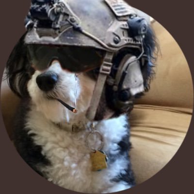Profile Picture of President Dr Max Gibson  💎 (@Max_Gibson3) on Twitter
