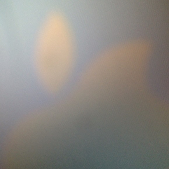 Profile Picture of John Woo (@johnwooo253) on Poshmark