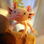 Profile Picture of Richard Davidson (@Ricci89) on Flickr