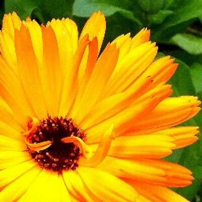 Profile Picture of Jonathan Billinger (@mjohnbollinger) on Twitter