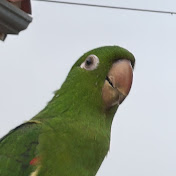 Profile Picture of M. Freitas (@Eng.Marcosfrei) on Youtube