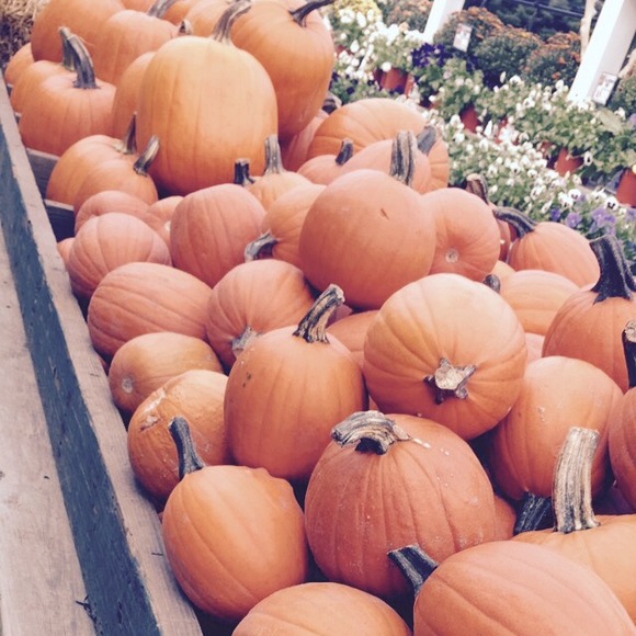 Profile Picture of Julia Deluca (@julia2000) on Poshmark