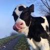 Profile Picture of annagelman (@annagelman3) on Tiktok