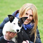 Profile Picture of Sabrina pace (@sabrivipsheepdog) on Instagram