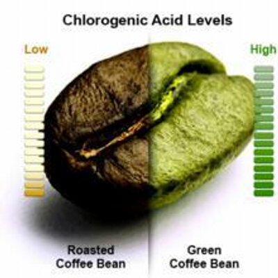 Profile Picture of Green_coffee_bean (@greencoffee_max) on Twitter