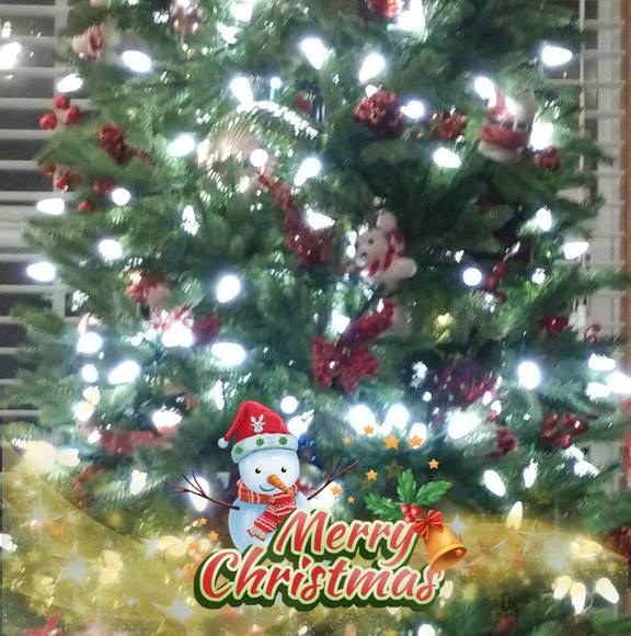 Shayla Jackson hale - Poshmark Profile Picture of Shayla Jackson hale (@shaylahale0721) on Poshmark