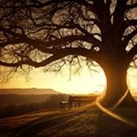 Profile Picture of Toni Mcgowan (@toni-mcgowan) on Quora