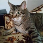 Profile Picture of gary (@impalerss22019) on Instagram