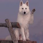 Profile Picture of Eugene Doyle (@eu.gene1974) on Instagram