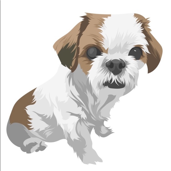 Profile Picture of Isabella Mogavero (@imogavero) on Poshmark