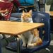 Profile Picture of Dalton Abrams (@daltonabrams) on Pinterest