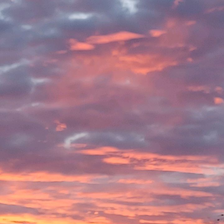 Profile Picture of Marilyn Hines1498 (@@marilynhines0) on Tiktok