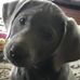 Profile Picture of Lisa Corino (@lisa.corino.98) on Facebook