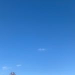 Profile Picture of alba (@avaleescott) on Instagram