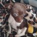 Profile Picture of Tony Randall (@tonyrev) on Pinterest