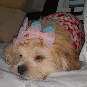 Jonathan Ferro - Youtube Profile Picture of Jonathan Ferro (@JonathanFerro-lr6es) on Youtube