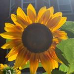 Profile Picture of Jacob Massey (@jacobmassey_) on Instagram