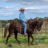 Profile Picture of Larry French 3Lhorsemanship (@3lhorsemanship) on Tiktok