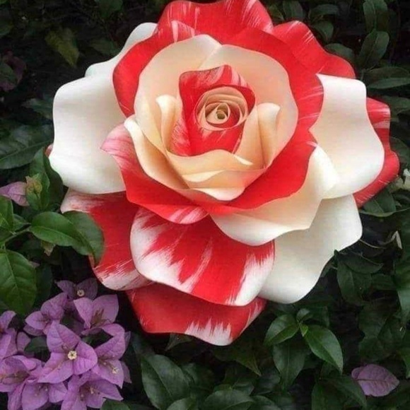 Profile Picture of Roberta Wenclasky (@pinky103164) on Poshmark