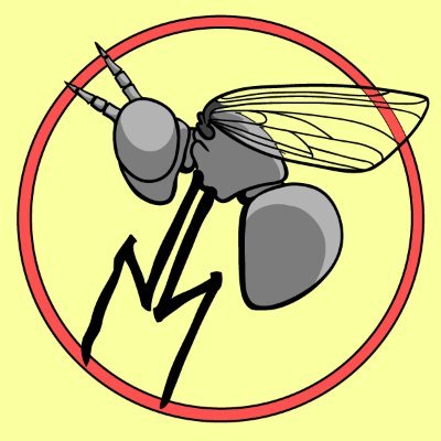 Profile Picture of Nate Steffen (@nate_station) on Twitter
