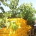 Profile Picture of Jeronimo Guzman (@jeronimo.guzman.16100921) on Facebook