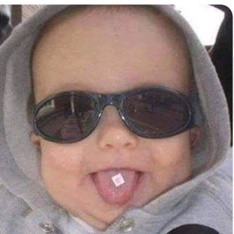 Profile Picture of Thomas Versteeg (@thomasversteeg) on Tiktok