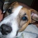Profile Picture of Jenny Albertson (@jennylalbertson) on Pinterest