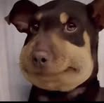 Profile Picture of Sonia Blair (@sonia.blair.37134) on Facebook