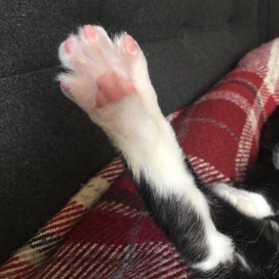 Profile Picture of Garrett Hayes (@GarrettBHayes) on Twitter