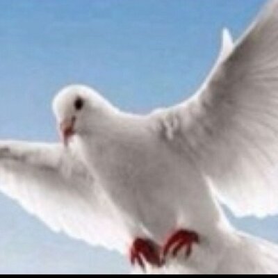 Profile Picture of Asm  Ahmed (@asmahmed2) on Twitter