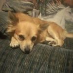 Profile Picture of Maverick E. Haws (@maverick.e.haws) on Instagram