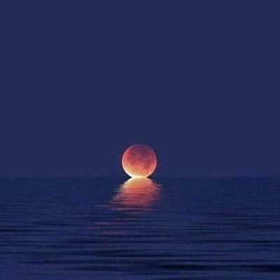 Profile Picture of Daniel Duchesne (@Danielduchesne6) on Twitter