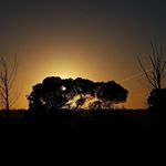 Profile Picture of Bruce Wilson (@willow66.bw) on Instagram
