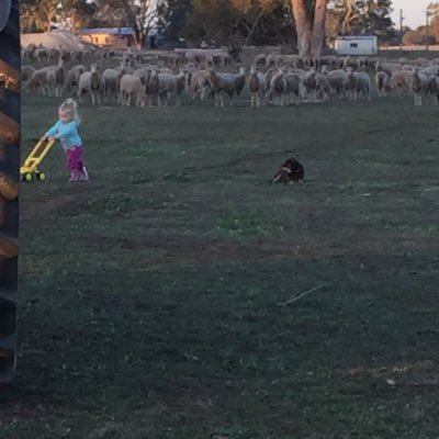 Profile Picture of Jeremy Wood (@Beauvalley91) on Twitter